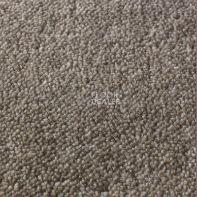 Ковролин Jacaranda Carpets Rajgarh Dappled Grey фото 1 | FLOORDEALER